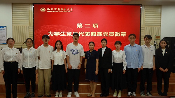 公司党委副书记刘桂玲为员工党员佩戴党徽.jpg