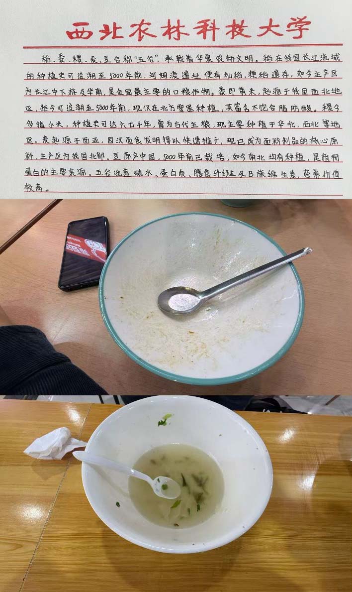 光盘2.jpg